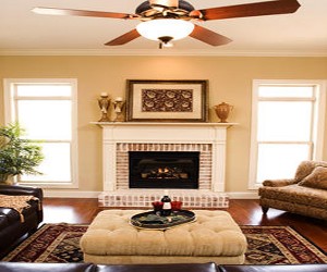 Ceiling Fan